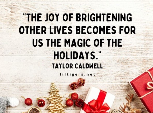 Screenshot 2025 11 23 214215